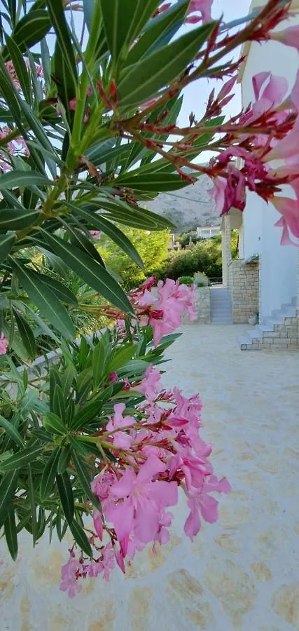 Salt&Stone Villa Pag Town